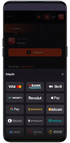 La liste des moyens de paiement Freshbet comprend cartes, portefeuilles et cryptomonnaies
